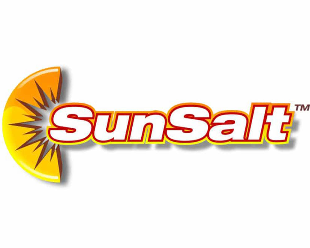 SunSalt Salt Water Pool System